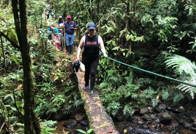 Full Day Jungle at Puyo photo